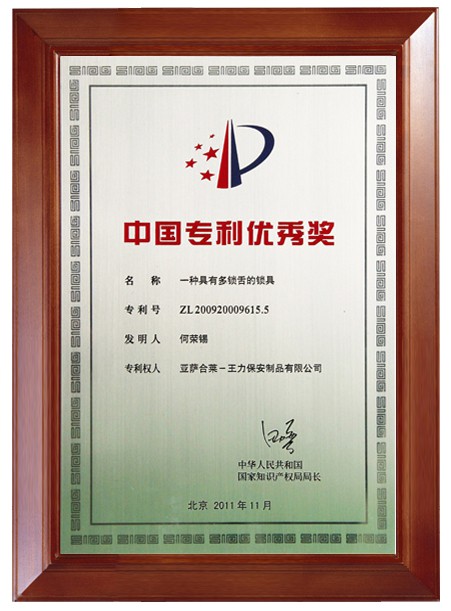 中国专利优秀奖