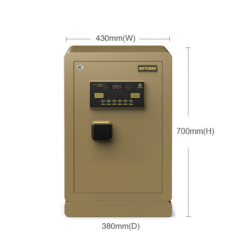 艾斐堡保险箱宝睿系列FDX-A D-63 M