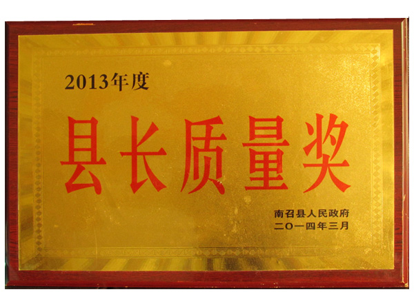 2013年县长质量奖
