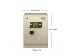 艾斐堡保险箱英睿系列FDX-A D-60 YR图1