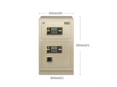 艾斐堡保险箱英睿系列FDX-A D-80S YR图1