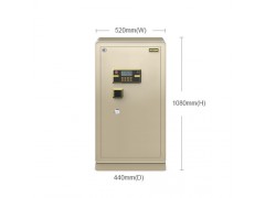 艾斐堡保险箱英睿系列FDX-A D-100 YR图1