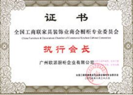全国工商联家具装饰业商会橱柜专业委员会执行会长