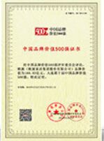 中国品牌价值500强