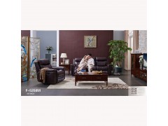 芝华仕时尚沙发F-5258M图1