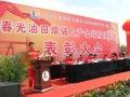 文化篇
