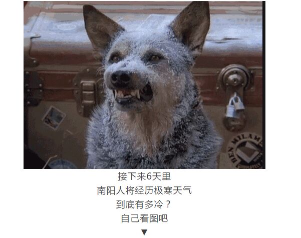 八喜3