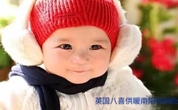 微信图片_20180201094351