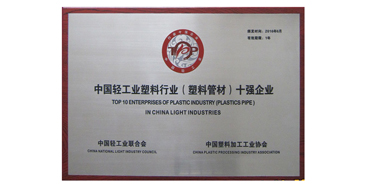 中国轻工业塑料行业（塑料管材）十强企业