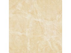 TAY0869022 闪电米黄图1