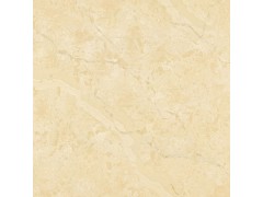 TFP086515 埃特纳意石图1