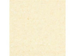 抛光砖SY08021图1