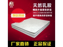 品牌床垫 弹簧床垫 棕加簧床垫 维尼斯床垫图1