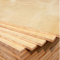 南阳大王椰板材   650杉木尊贵型E0细木工板