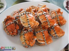 大闸蟹2图2