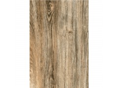 ICC瓷砖  印第安之歌Sunwood C0964051图1