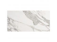 ICC瓷砖卡拉卡塔ⅡCalacattaⅡ C1262072F图2