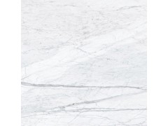 ICC瓷砖冰雪奇缘BiancoLux C0902136S图2