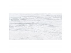 ICC瓷砖 冰雪奇缘BiancoLux C1892136F图2