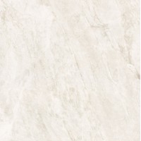 利家居陶瓷  8DAP096B