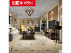 顺辉瓷砖 客厅阳台仿古砖地砖600x600  花姿图1