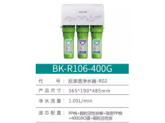 布克净水器 BK-R106-400G图1