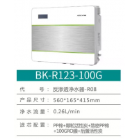 布克净水器 BK-R123-100G