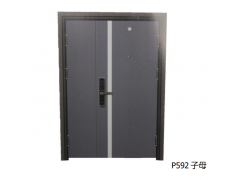 安嘉安全门 P592子母图1