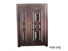 安嘉安全门 P588子母图1