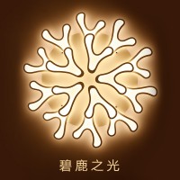 东方灯饰　后现代吸顶灯1790