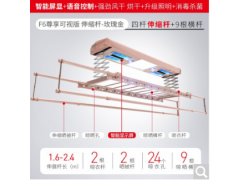 盼盼电动晾衣架 消毒风干烘干智能语音晾衣机F6图1
