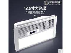 友邦（YOUPON）友邦浴霸风暖集成吊顶暖风机  ZH025图1