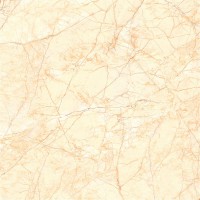 格莱斯陶瓷LF-DIQ1T80513 索菲特金