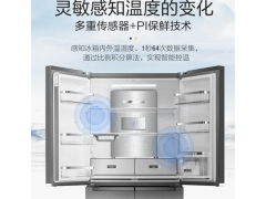 惠而浦冰箱BCD-603WM01GB图2