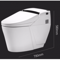 SOZ518一体智能全自动洁身机储水加热 300mm坑距