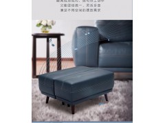 顾家家居皮沙发8101图2