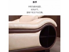 顾家家居皮沙发.风驰幽谷（8016）图2