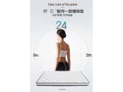 新品加硬护脊棕垫椰棕乳胶透气席梦思老人床垫M0055图2