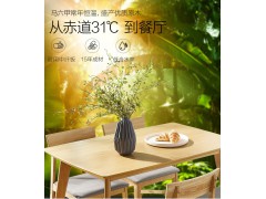 北欧简约实木餐桌餐椅一桌四椅组合1.2/1.4mPT1571图3