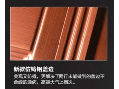 FJ-8001年年有余（铸铝门）图2