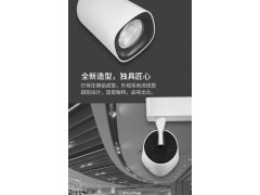三雄极光导轨射灯28W图2