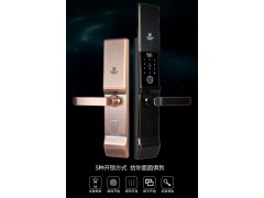 阿普力斯大滑盖自动下滑智能锁A6型号图2