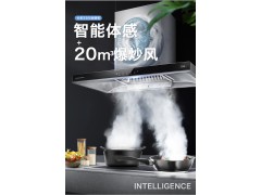 长虹欧式抽油烟机 CXW-250-E50图2