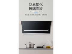 长虹吸油烟机 CXW-283-J811R图2