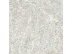 荣耀大理石瓷砖 经典大理石瓷砖 维纳斯灰图3