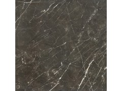 荣耀大理石瓷砖 臻藏大理石瓷砖 金镶玉图2