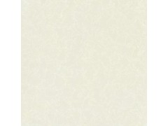 抛光砖 朵云图2