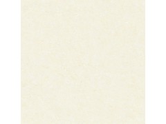 抛光砖 玉麒麟图2