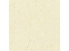 抛光砖 新概念玉石图2