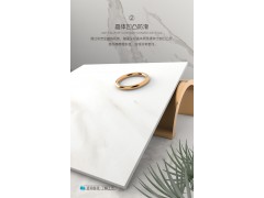 卫生间墙砖300x600图2